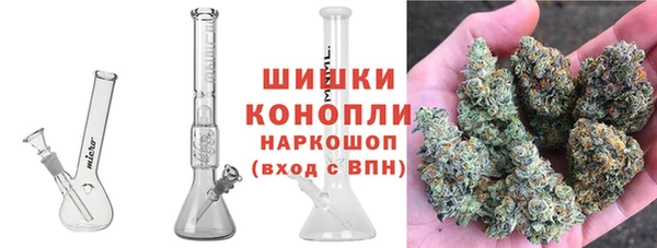 сатива Абдулино