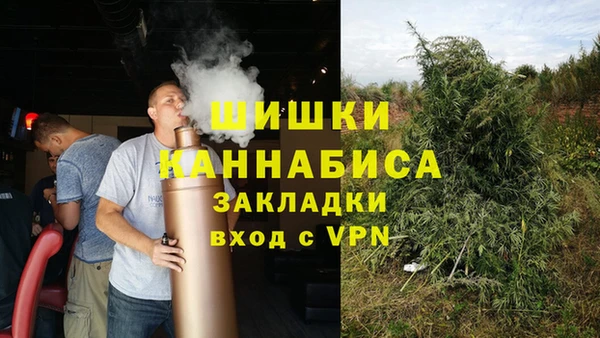 сатива Абдулино