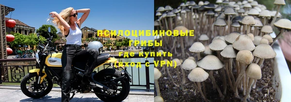 бошки Абинск