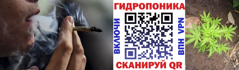 Марихуана OG Kush Красновишерск